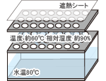 実験概要図