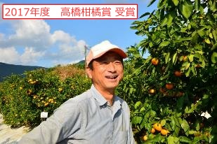 みかん農家 椿原氏