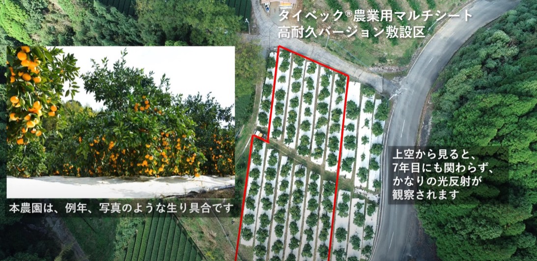 7年目のタイベック®農業用マルチシート高耐候バージョン