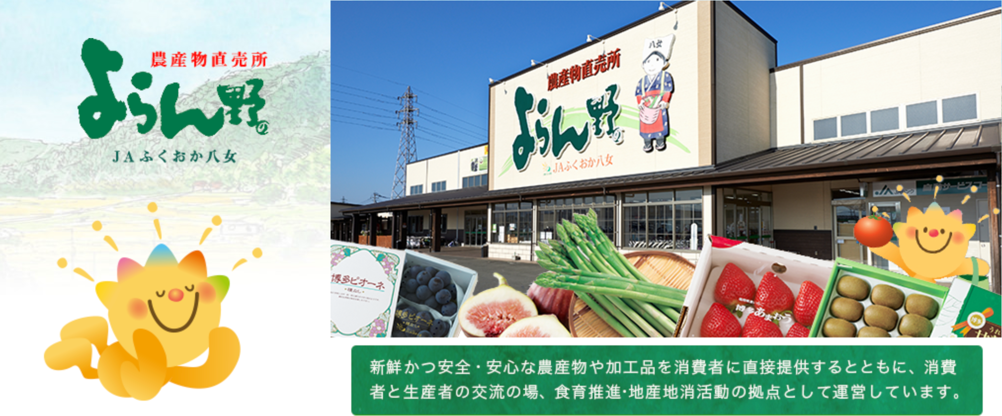よらん野
